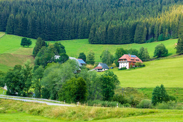 House on a Black Forest Hill