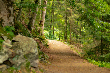 Fototapeta premium TODTNAU, GERMANY - JULY 20 2018: Forest Path Along and to the Beautiful Waterfall in the Middle of the Black Forest