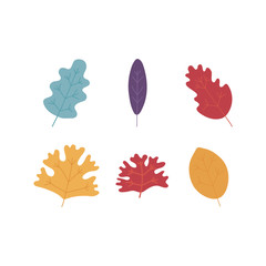 Autumn plant leaves set - decorative natural elements for design in flat style. Collection of various colorful foliage isolated on white background - seasonal vector illustration.