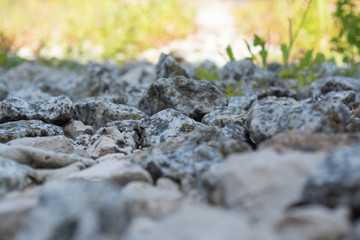 Stone Path