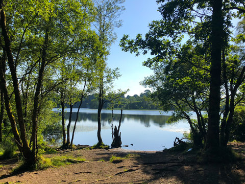 Lake at Mugdock Park - Scotland