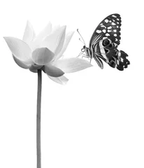 Cercles muraux fleur de lotus lotus papillon en noir et blanc 