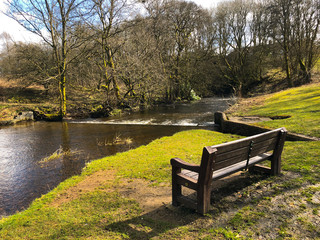 Fototapeta na wymiar Park view - bench and river