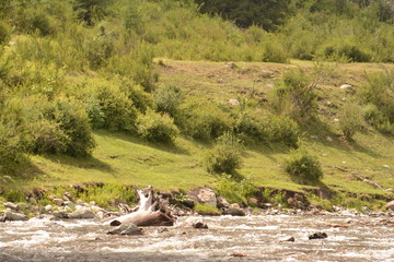 nature landscape landscape mountains valley hills rocks cave water waterfall stream river stream rock stone sky grass trees green blue white tourism excursions Russia 