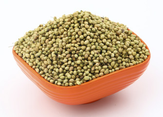 Dried Coriander Seed