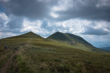 tarnica