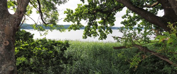 Obraz premium Seeufer