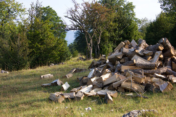 Logs at a meadow, landscape Vercors french pre Alps