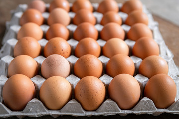 Fresh chicken eggs eggs in paper tray,egg carton on wooden background.