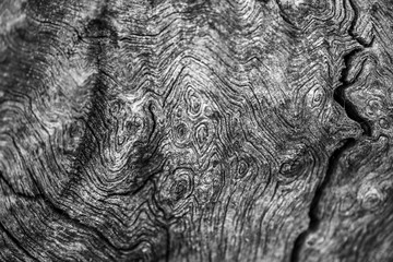 Natural Wooden texture