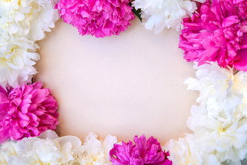 Pink and white peony frame on light paper background