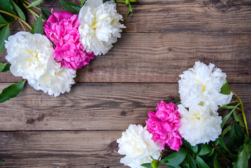 Pink and white peonies on wooden background