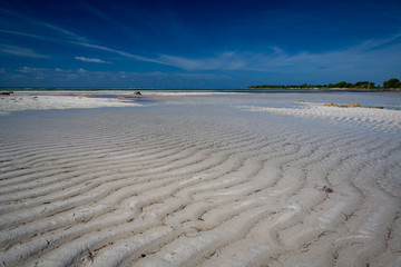 Clear Caribbean like water in the Florida Keys at Bahia Honda.