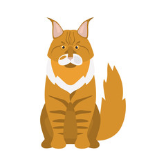 Maine coon breed cat color icon. Flat design