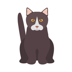 Fototapeta na wymiar Munchkin breed cat color icon. Flat design