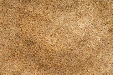 Backside of natural brown leather surface texture closeup as background