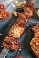 Pork Kebab Barbecue Shashlik on a Skewer Close Up