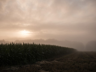 sonnenaufgang