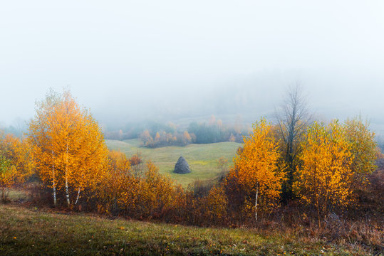 Amazing scene on autumn mountains. Yellow and orange trees in fantastic morning sunlight. Carpathians, Europe. Landscape photography