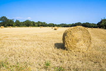 Meule de foin en Bretagne