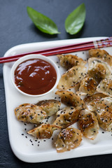 Close-up of fried korean wontons with sesame seeds and dipping sauce, selective focus, vertical shot