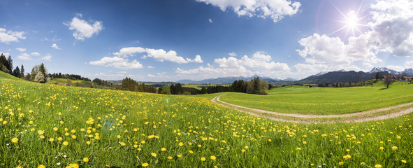 Panorama Landschaft mit Feldweg durch Frühlingswiese und Sonnenstrahlen