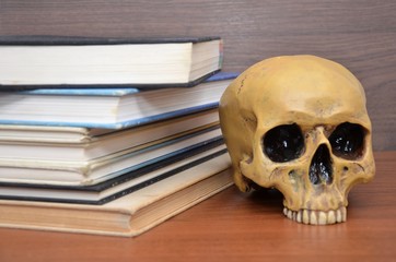 skull with old books