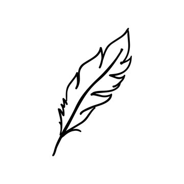 Feather vector icon isolated on white background