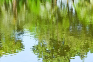 abstract colorful of tree reflection on the water