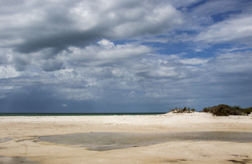 Stormy cloudscape over the ocean with sand beach and water puddles and small dunes in the foreground - bird flying in the sky