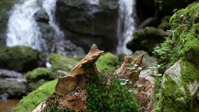 Tiefsteinklamm Canyon with Waterfall near Salzburg Austria