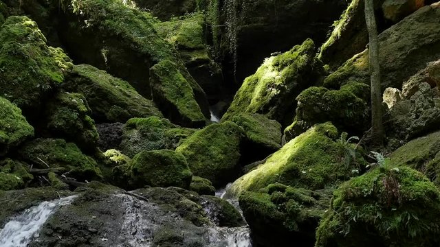 Tiefsteinklamm Canyon with Waterfall near Salzburg Austria