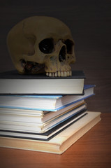 books with a human skull in the dark