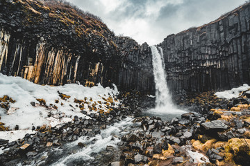 Dramatic morning view of famous Svartifoss (Black Fall) Waterfall. Colorful summer sunrise in Skaftafell, Vatnajokull National Park, Iceland, Europe. Artistic style post processed photo.