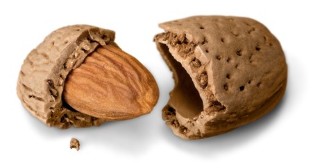 Almond isolated on a white background