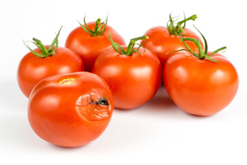 Red tomatoes on a white table. Tasty vegetables for the best dishes in the kitchen.