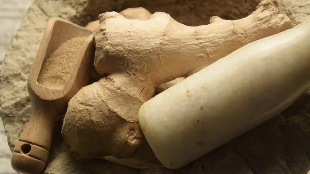 Silvana Comugnero Zingiber officinale Gengiovo Zenzero Ingwer Ginger video Gingebre Gingembre Ingver movie 생강 Կոճապղպեղ زنجبيل 