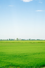 Vista di Paesaggio naturale, prato verde e cielo azzurro limpido