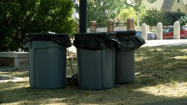 A good clean shot of garbage cans on a beautiful day. I like this shot for a documentary type of feel to show trash within a beautiful setting.
