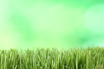Green grass with water drops on blurred background