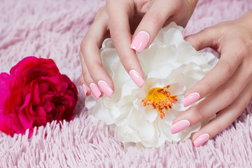 Beautiful woman's nails with beautiful french manicure. pink color