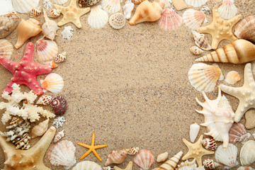 Seashells and starfishes on beach sand