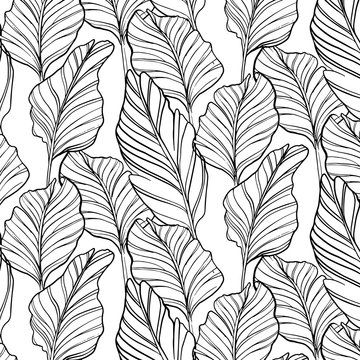 Tropical seamless pattern with nature leaf Hand drawn black art line sketch on white background. Vintage texture abstract wallpaper Wild jungle Graphic design for market packing, print vintage textile