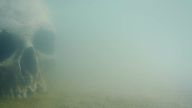 Old Skull Underwater Moving Shot