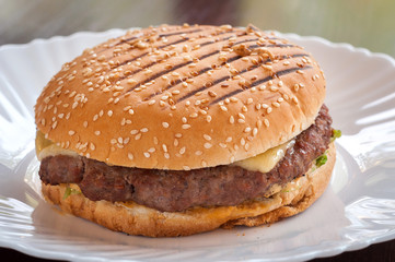 Juicy cheeseburger with cheese on a white plate