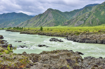 Summer landscape of fast mountain river Katun with Teldykpen rapids