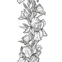 Seamless decorative border with outline iris flowers for floral design.