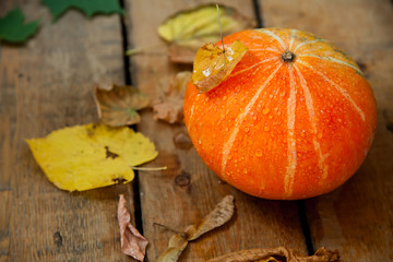 wet pumpkin with one dried yellow leaf in autumn wooden background