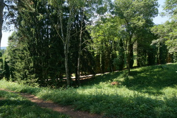 The Kislovodsk Resort park is the biggest city attraction. It was founded in 1823 and was entirely man-made; today its area is 1340 hectares