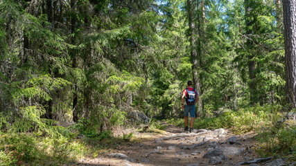 Obraz premium Mann mit Rucksack wandert durch einen Wald